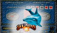 Игровой автомат Dolphin's Pearl